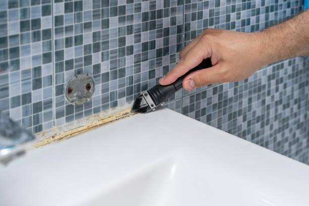 Best Mold Remediation for Specific Building Types in Gulf Park Estates, MS