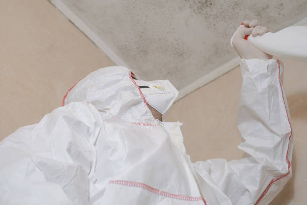 Best Health and Safety Mold Remediation in Gulf Park Estates, MS